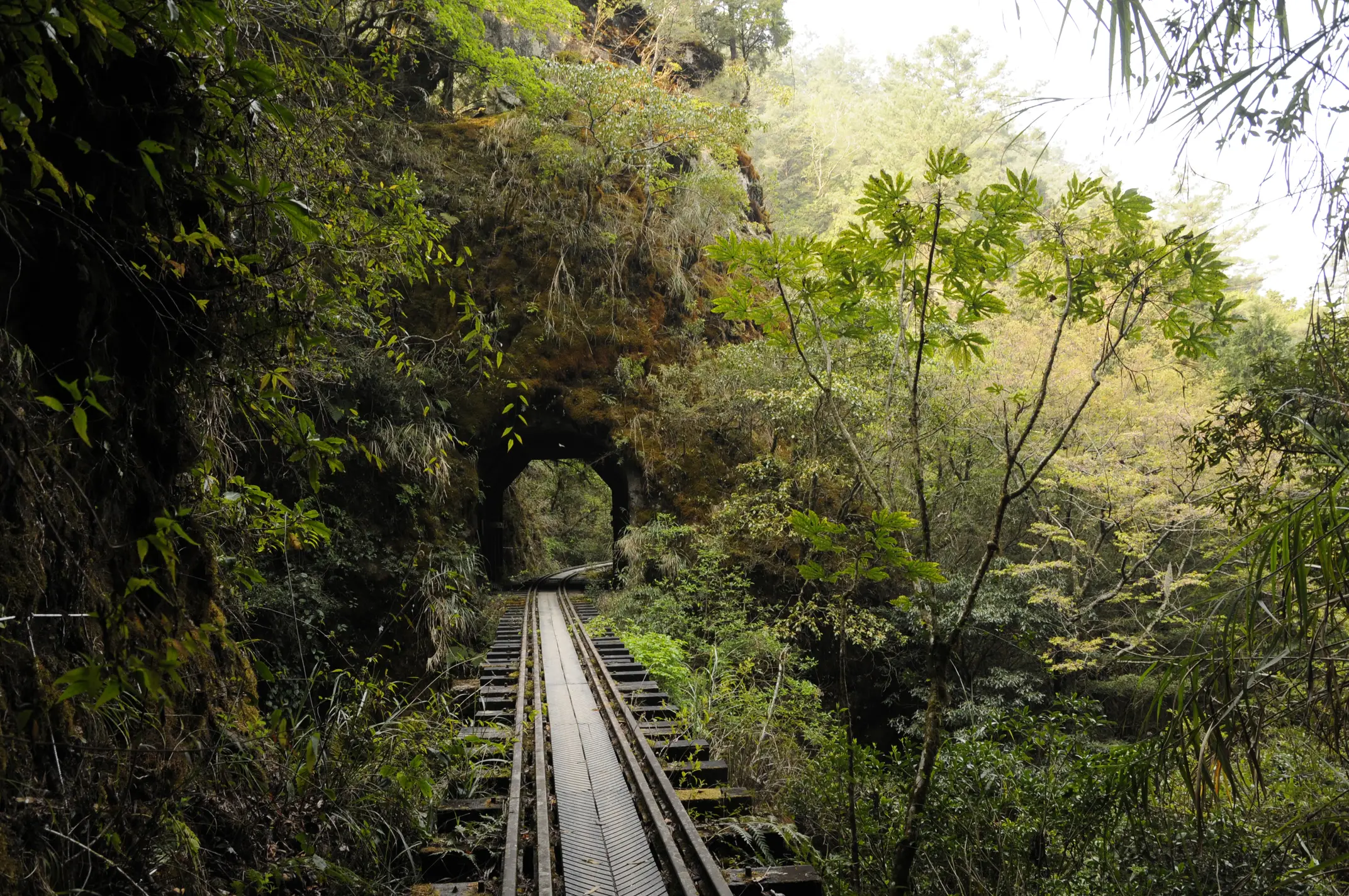 A wooden rail bridge and tunnel in the Mianyue Line