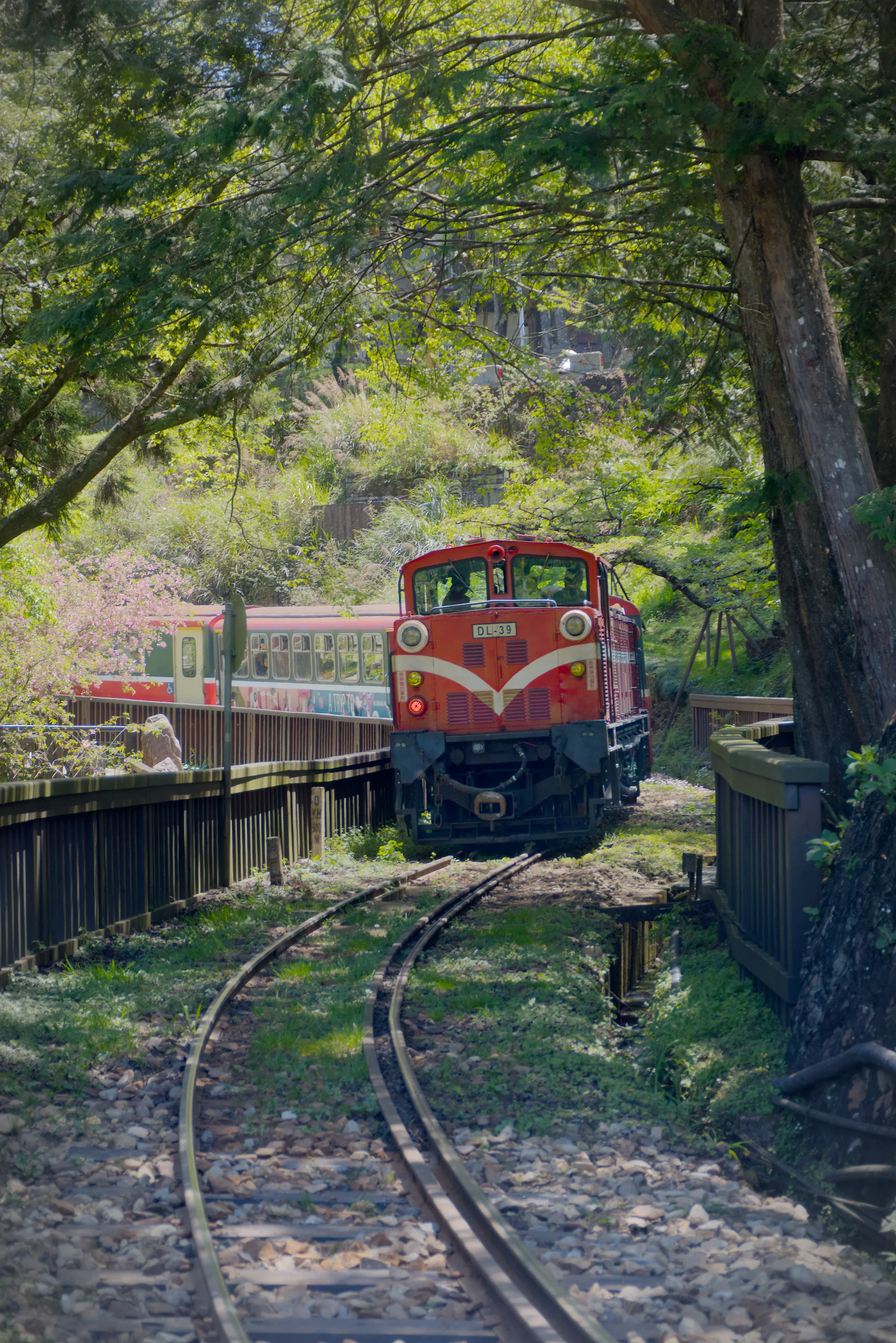 Alishan train running