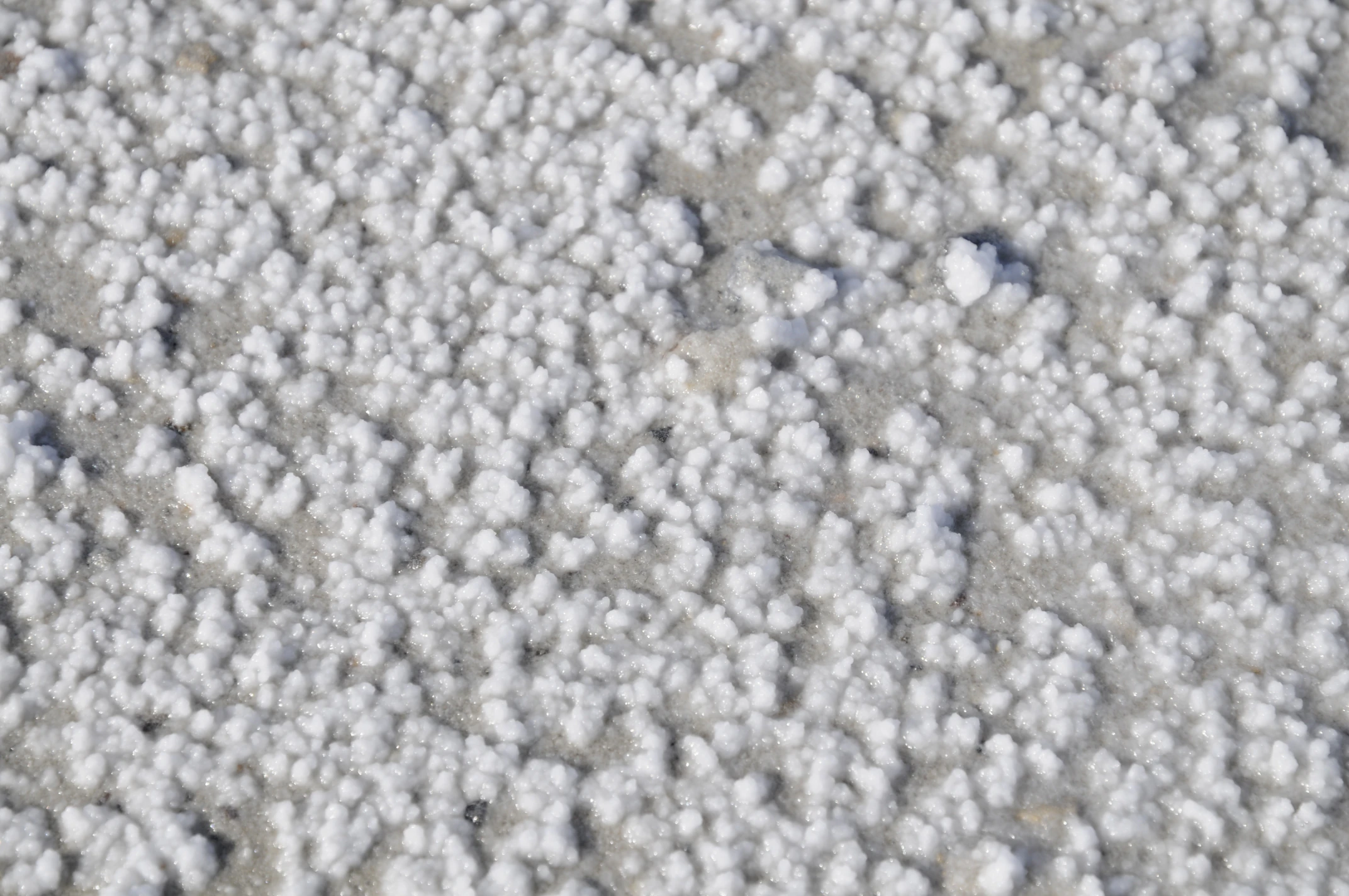 Closeup shot of salt crystals